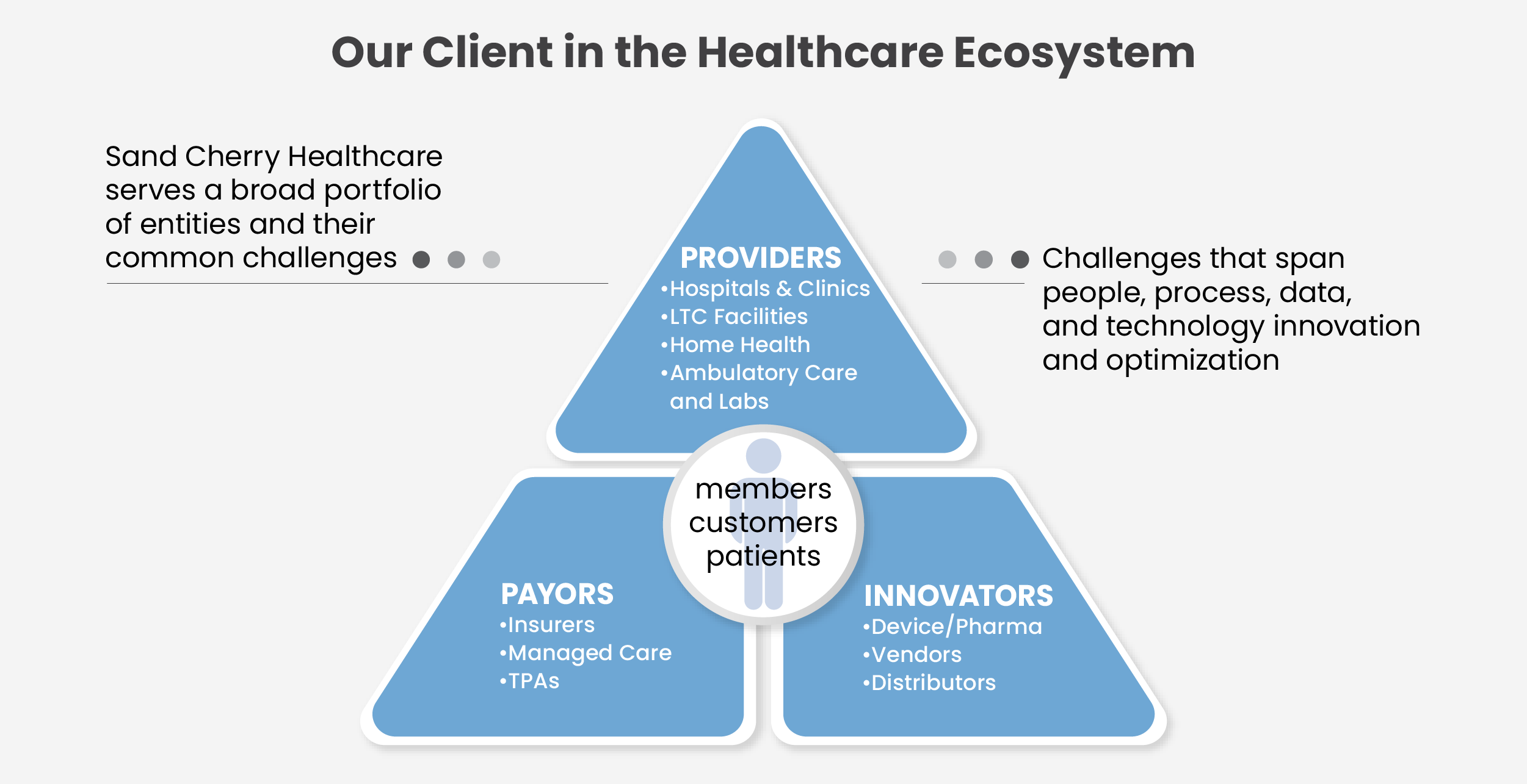 Our Client in the Healthcare Ecosystem diagram